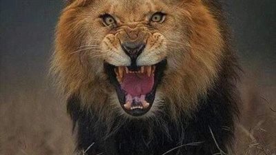 ما الحكمة من تكرار قوله تعالى: فبأي آلاء ربكما تكذبان 31 