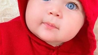 اسكريبت وقعت في شباكه كامله
