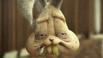 حياتي تدم__.__رت بسب حماتي