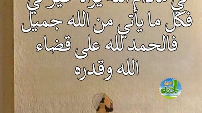 رواية خادمة الصقر جميع الفصول كاملة شيقة جدا