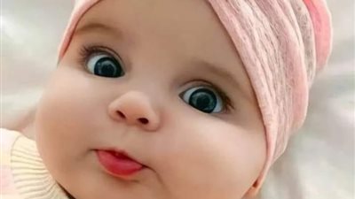 الذئاب كاملة بقلم ولاء رفعت