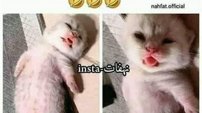 الفصل الأول رواية جديدة بقلم ياسمين علاء الدين و سارة عبد الحليم